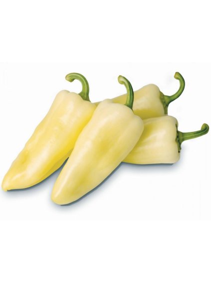 syn cecei hungarian pepper seeds