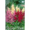 Astilbe Farebný Mix 3ks 2