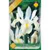 iris kosatec white van vliet