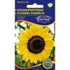 Slnečnica ozdobná 'Holdfény' 2g rédei