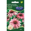 Echinacea 'Echinacea purpurea' 0,5g rédei