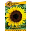 Slnečnica ozdobná ročná 1g garafarm