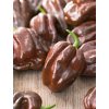 Paprika chili čokoládová 'Habanero' 20 semien