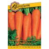 Mrkva obyčajná pravá 'Danvers' 3g