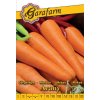 Mrkva obyčajná pravá 'Arany Chantenay' 4g