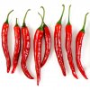 cayenne