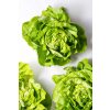 what is butter lettuce 4773670 hero 06 0b9d54128b3e48e081015e17b5764c39