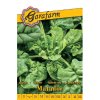 Špenát 'Matador' 3,5g garafarm
