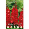 gladiola traderhorn 4