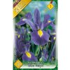 iris hollandica blue magic 2