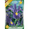 Kosatec Iris Hollandica 'Blue Magic' 10ks