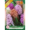 Hyacint Hyacinthus 'PASTEL MIX'