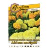 Aksamietnica 'African Marigold' zmes 1g garafarm