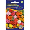 Portulaka plnokvetá zmes 1g rédei kertimag