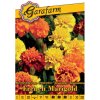 Aksamietnica drobnokvetá 'French Marigold Petite' zmes 0,5g GF