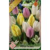 Tulipán Tulipa single 'PRINCE MIXED'