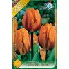 Tulipán Tulipa Triumph 'PRINCESS IRENE' 5ks