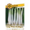 Cibuľa zimná 'Long White Koshigaya' 1g
