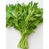 Ligurček lekársky 'Lovage' 1g