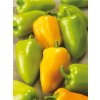 Priesady papriky 'GOLDUS F1' 10 ks