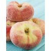 'SATURN' lapos barack, rakoniewicka alany, kont. 7,5l