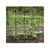 STREND PRO Sieť na uhorky s konštrukciou 1,8x1,8m 2
