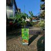 Papaja 'SUNNYBEES®' v kont. 2l