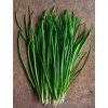 chives