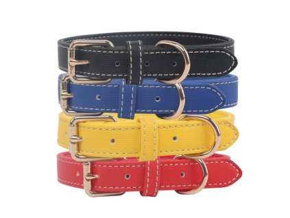 dog collar leather