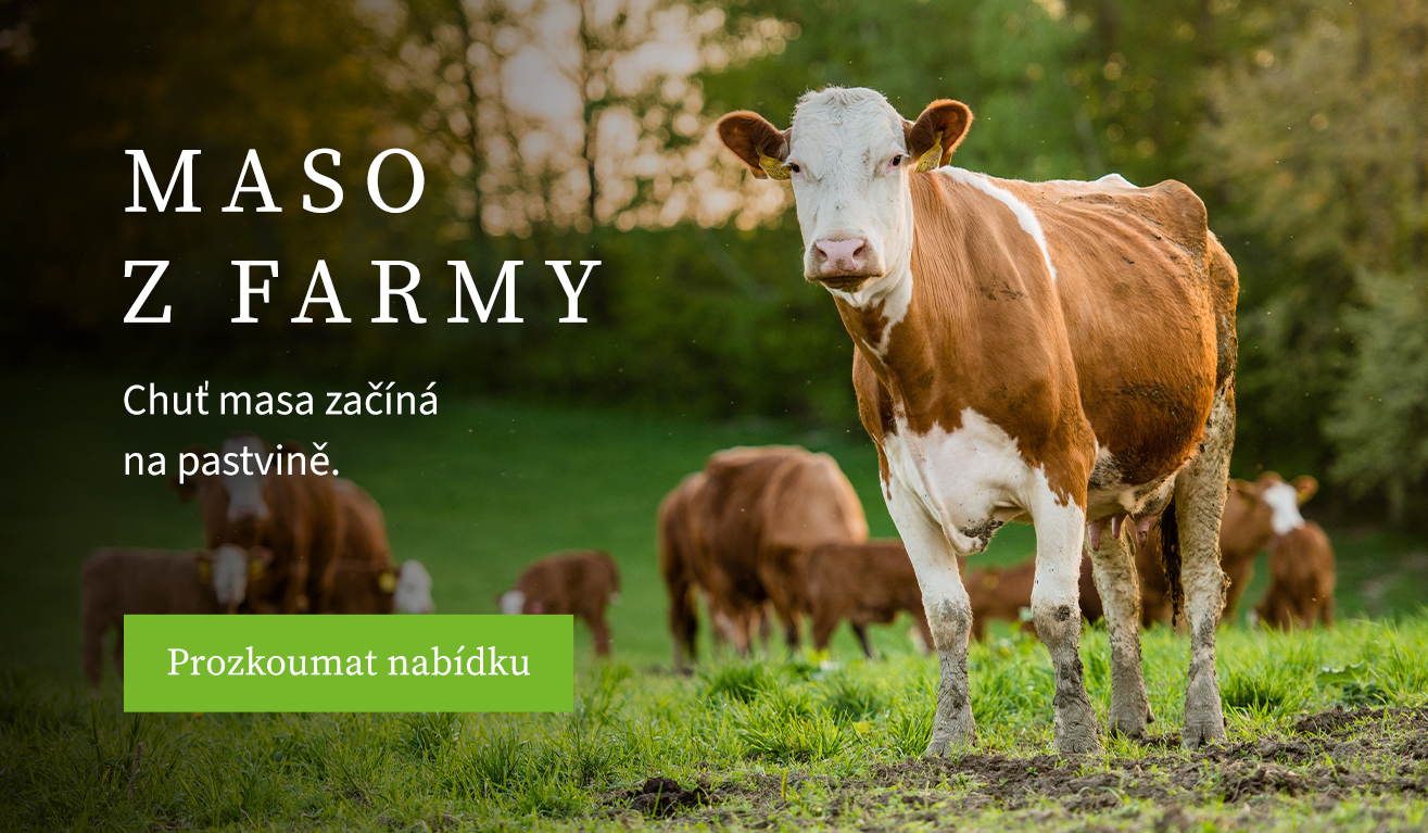 Maso z farmy