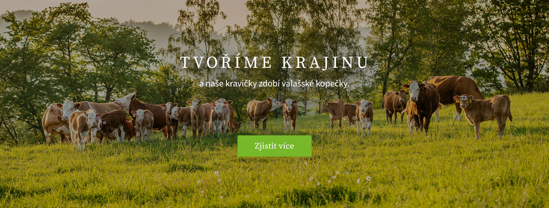 Tvoříme krajinu