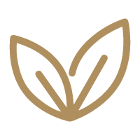BIO