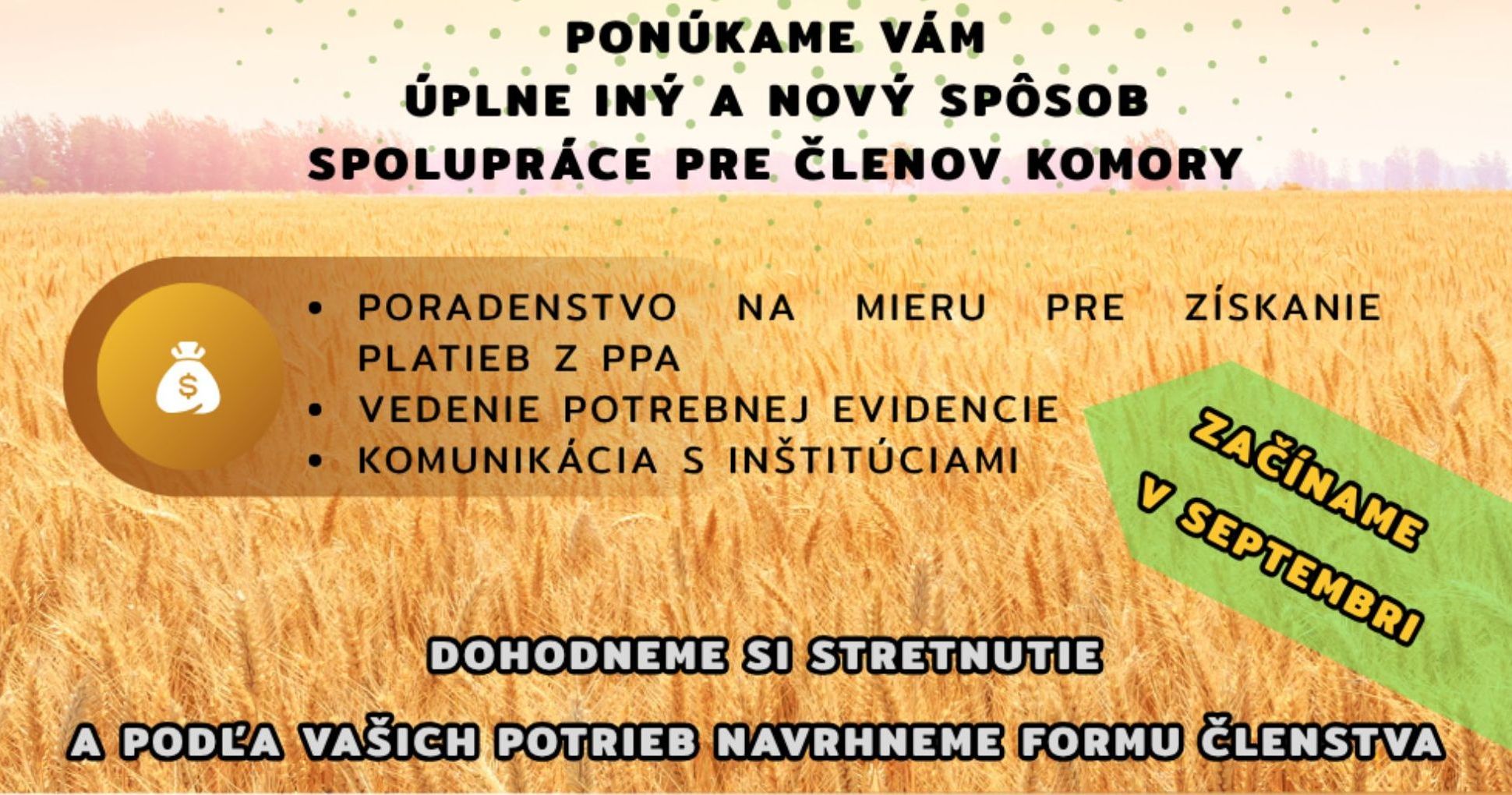 Do kuchyně