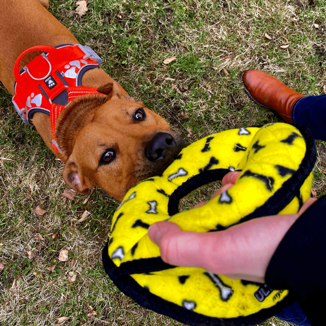 TUFFY - psí hračky, které opravdu vydrží!