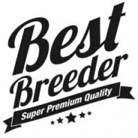 Best Breeder - krmivo proti zápachu psích exkrementů?