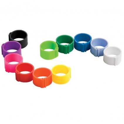 clickringen all basesquare