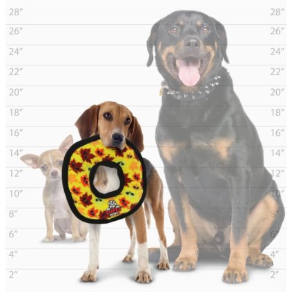 27653a87 372f 46e0 82e8 d91cdb7f45c4