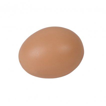 egg p53b detail basesquare