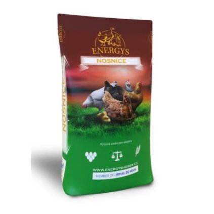 stažený soubor (1)