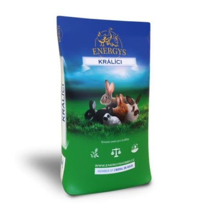 stažený soubor (2)