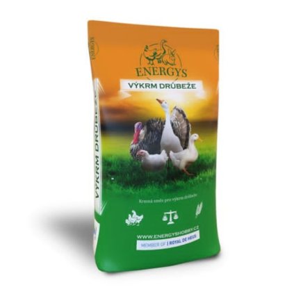 stažený soubor (5)