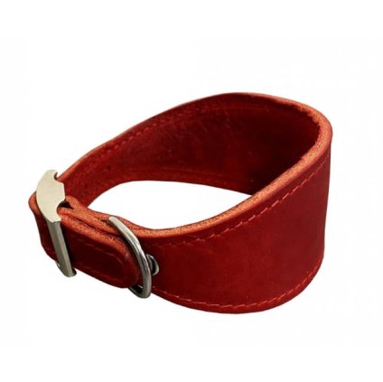 stažený soubor (49)