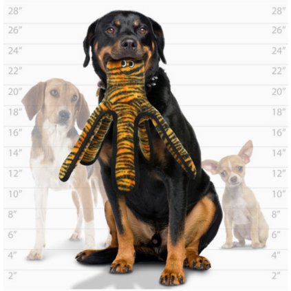 1adc5acc e046 4485 8a6c cbd945525f1a