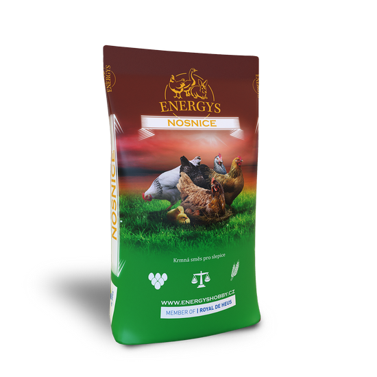 Energys Kuře Midi 25 granule kg