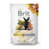 Brit animals immune stick 80 g