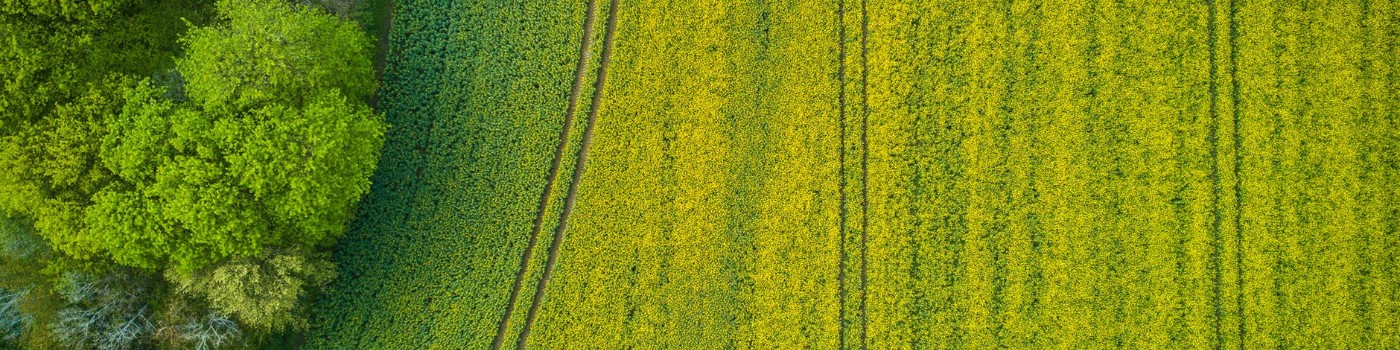 Legislatíva v poľnohospodárstve