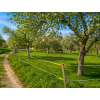 ff56153e 8566 4ca5 9653 35568df537be