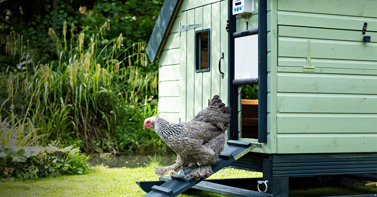 Automatické zavírání a otevírání kurníku