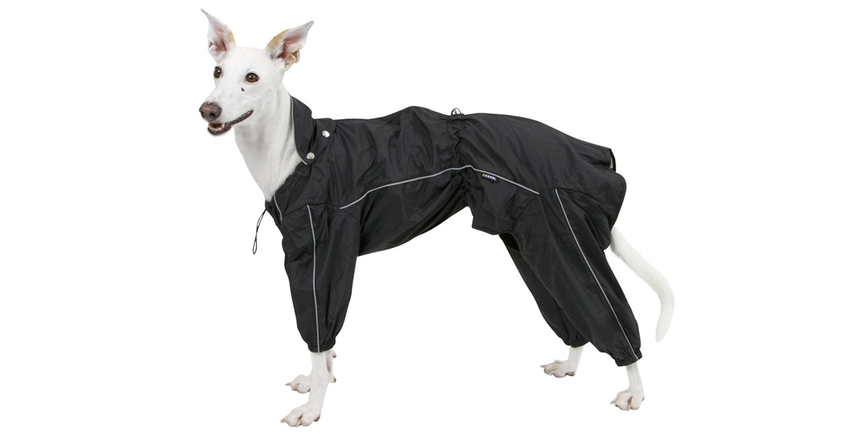 Elegantní a praktické pláštěnky pro psy
