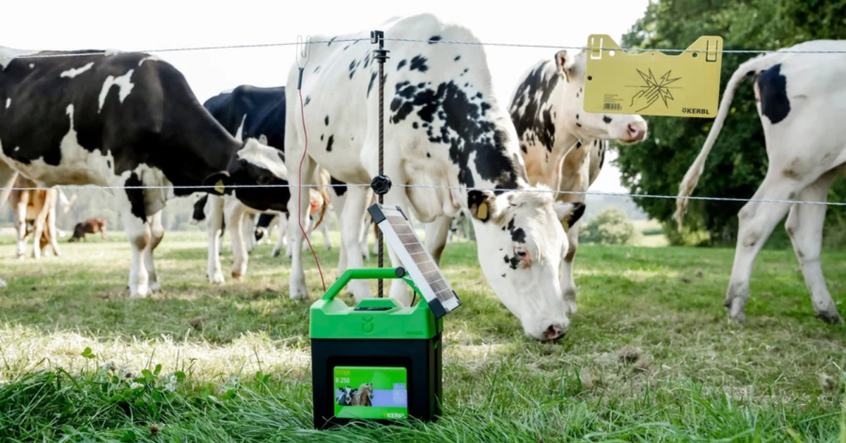Síťový, bateriový a solární zdroj: Jaký zvolit pro elektrický ohradník?